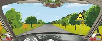 駕駛機動車看到這種標志需要注意什么？