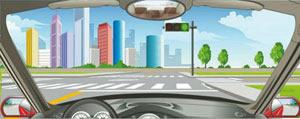 駕駛機動車在路口遇到這種信號燈亮時，不能右轉彎。